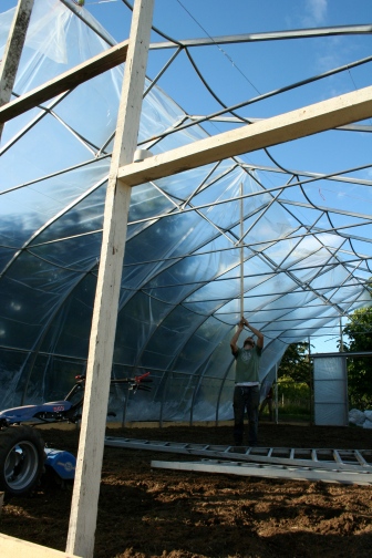 Bringing the plastic over the greenhouse arches. 
